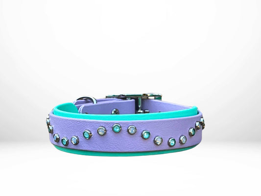 Small (11-14 Inches) Crystal Buckle Biothane Collar