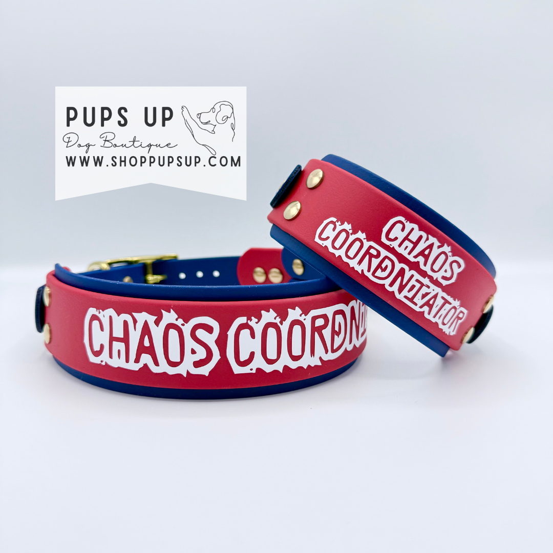 2" Chaos Coordinator Collar