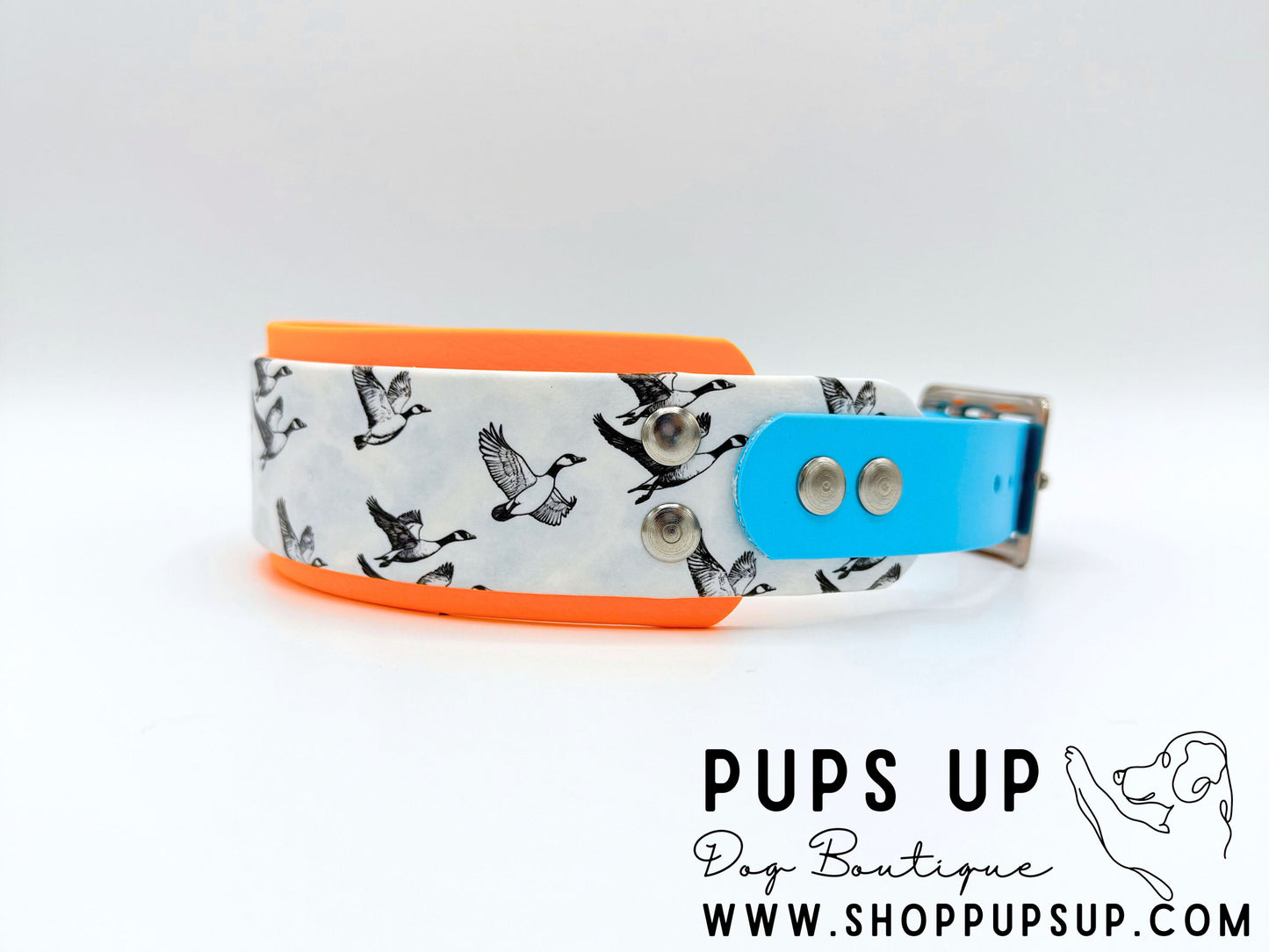 2" Canadian Geese Collar & Leash Set