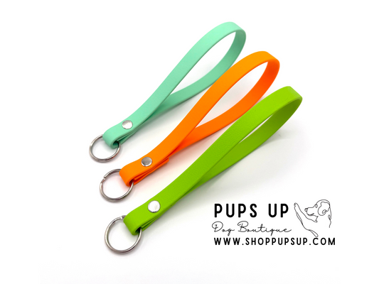 E Collar Remote / Keychain Wristlet