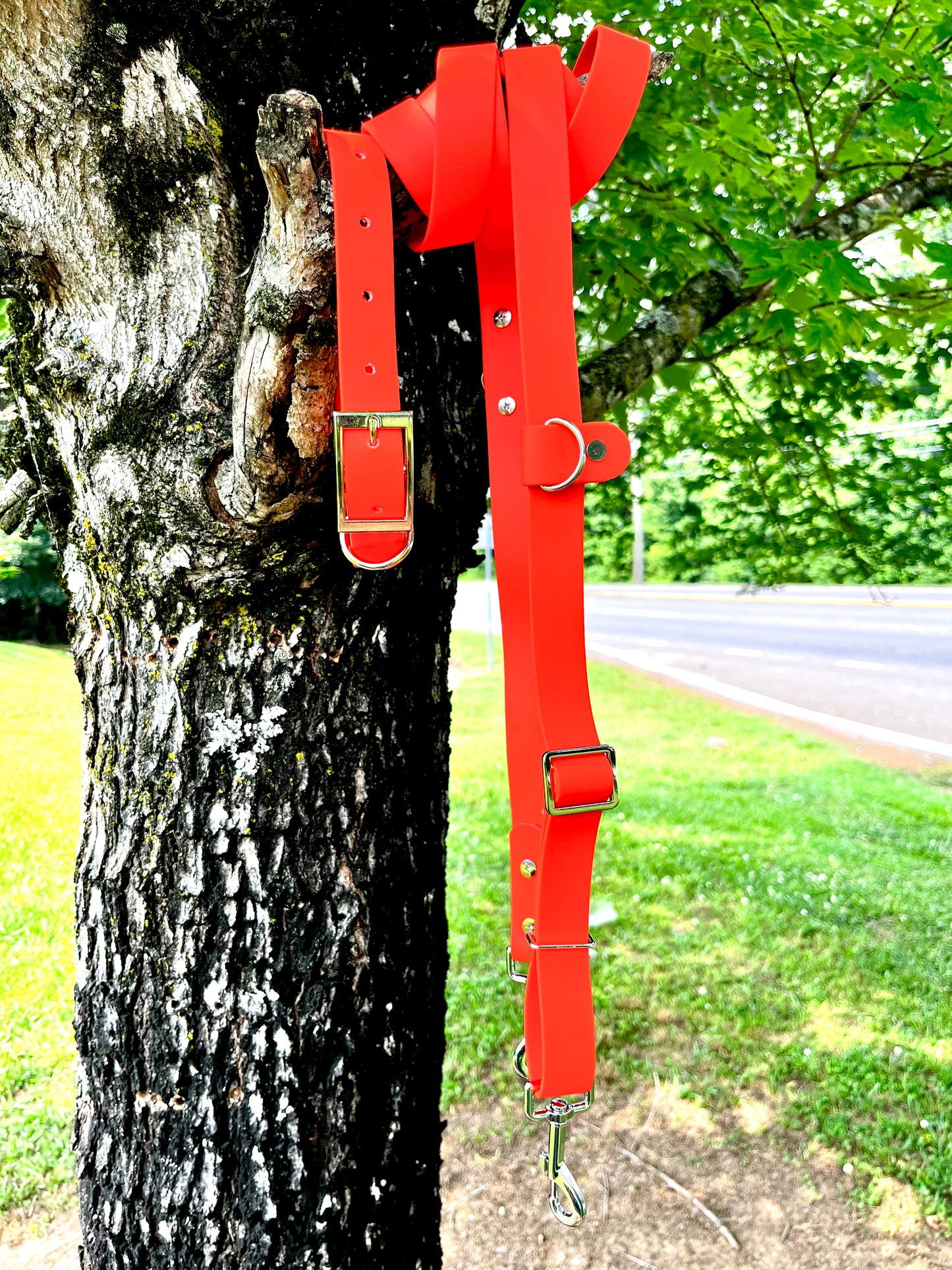 1" Biothane® Multifunctional Hands-Free Dog Leash