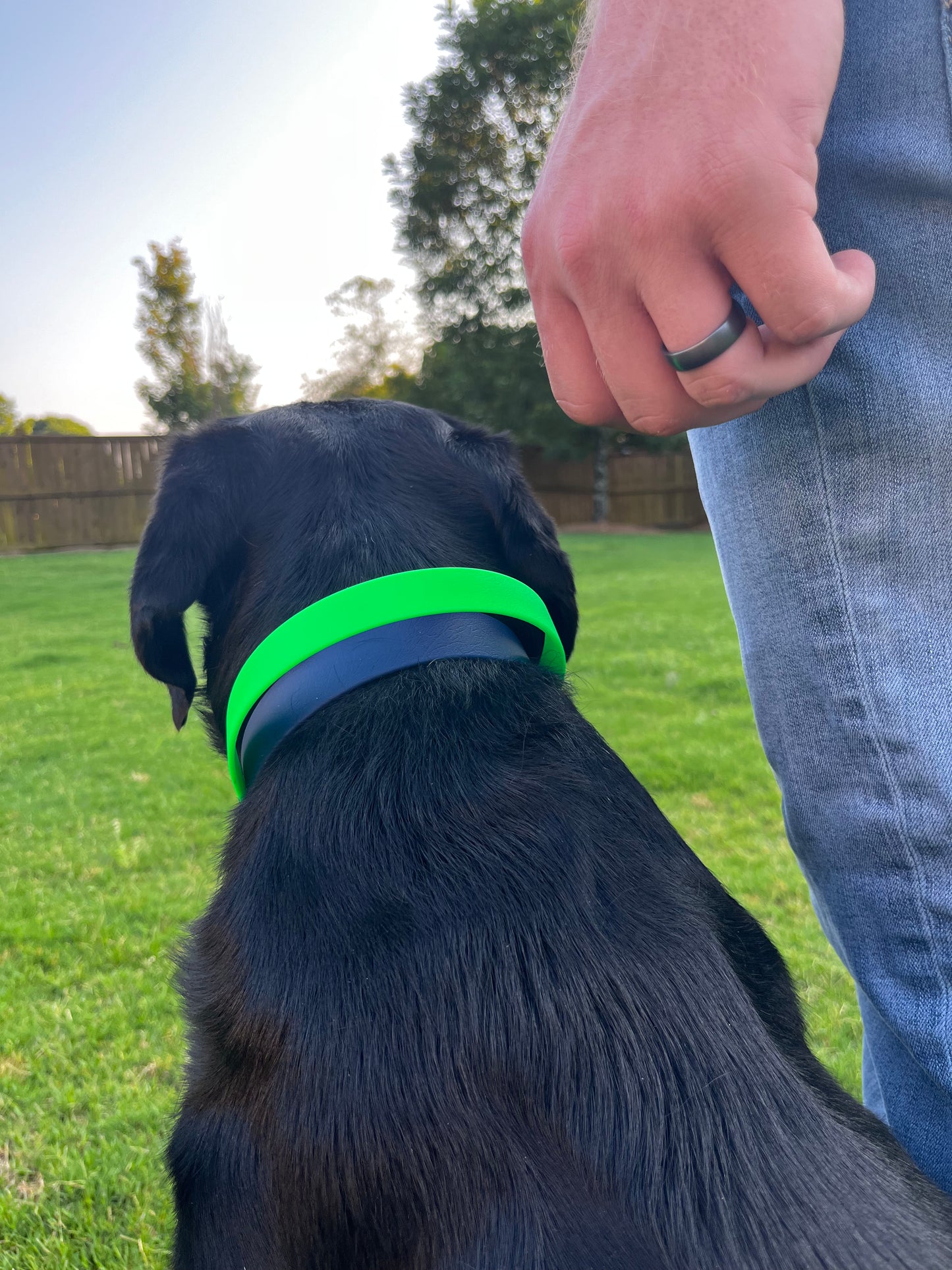 1" Biothane® Dog Collar with Handle