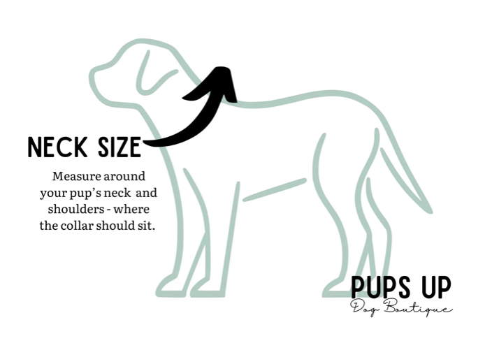 2" Pastel Mermaid Collar & Leash Set