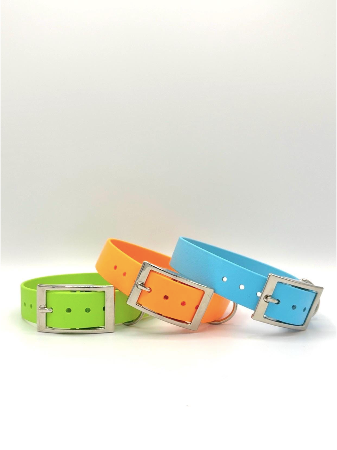 1" Standard Buckle Collar