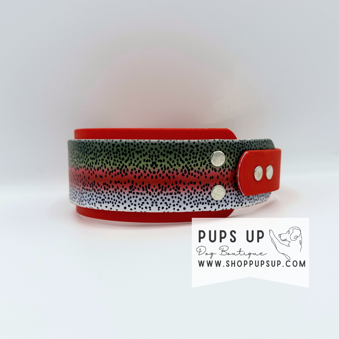 PREMADE 2” Rainbow Trout Collar