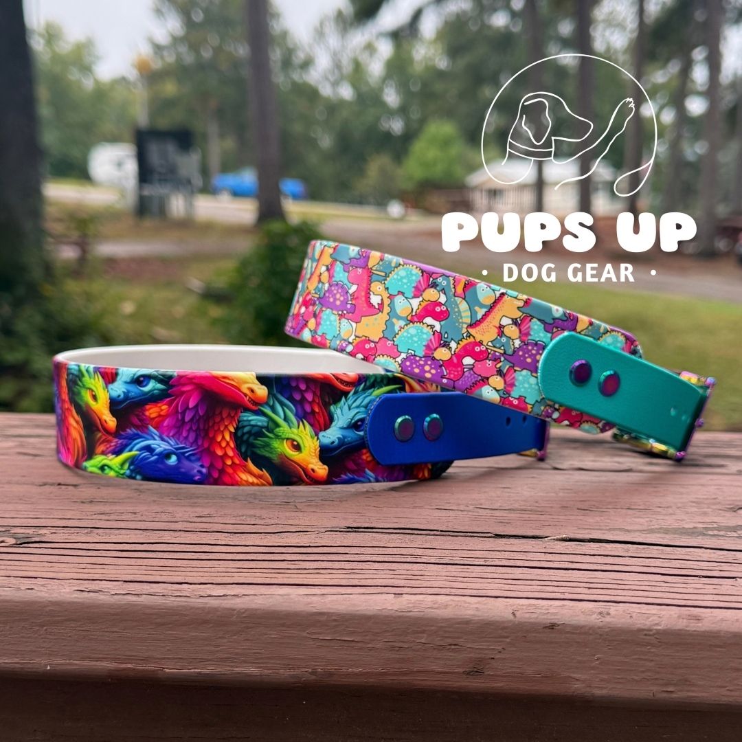 1.5" Tapered Cute Dinosaurs Collar