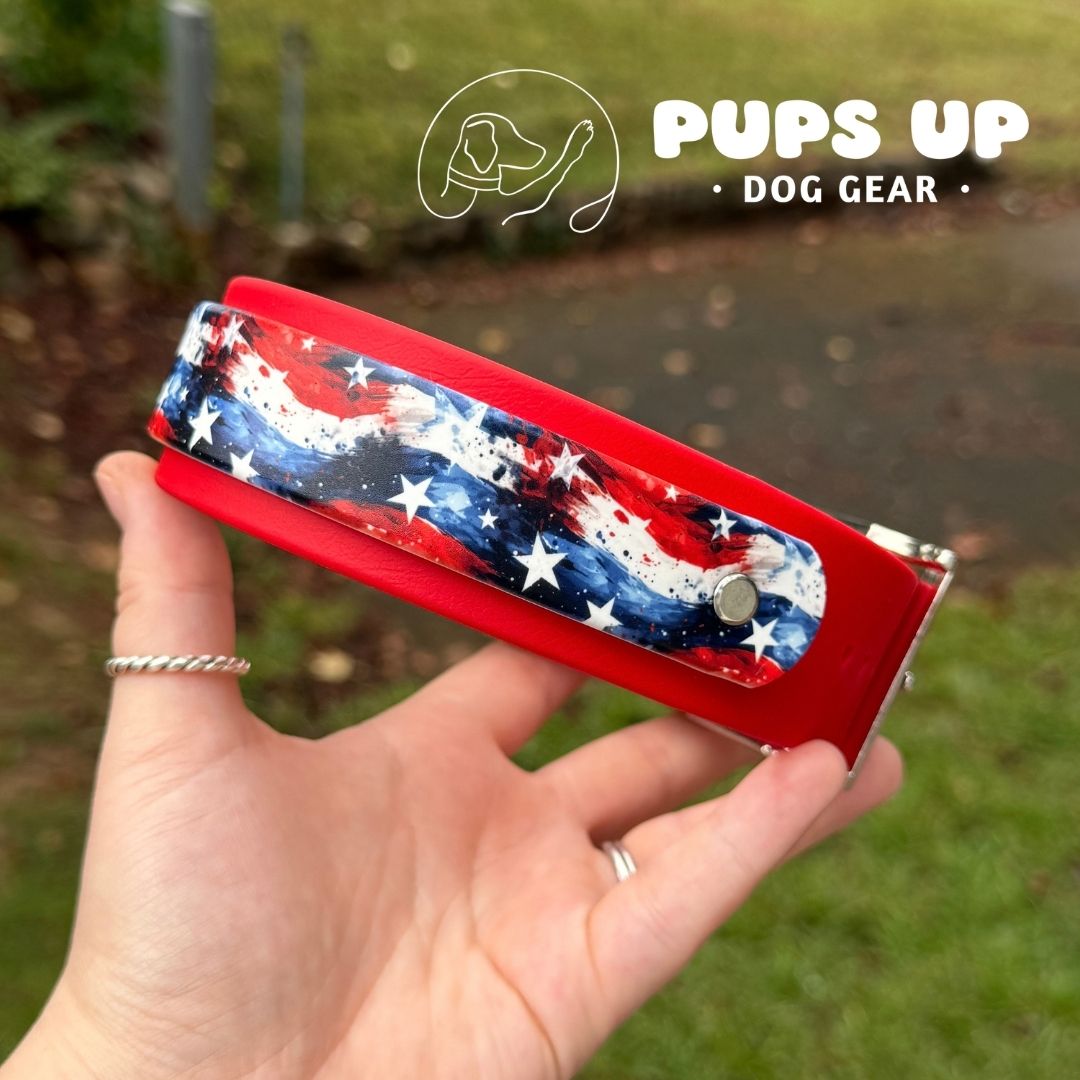 1.5" w/ Overlay Wavy Star Collar