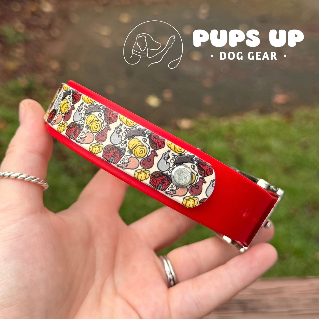 1" w/ Overlay Barn Hunt Collar