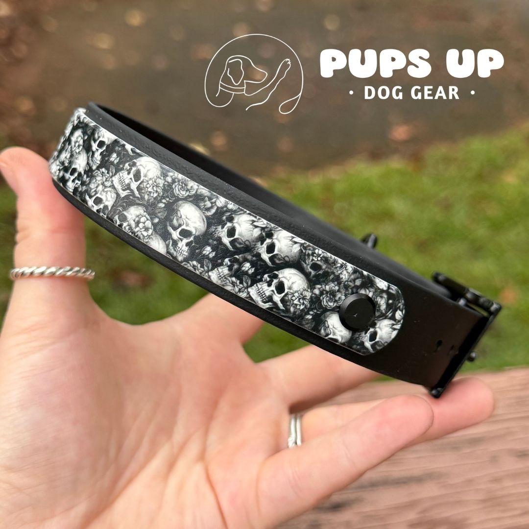 1" w/ Overlay Skulls Collar