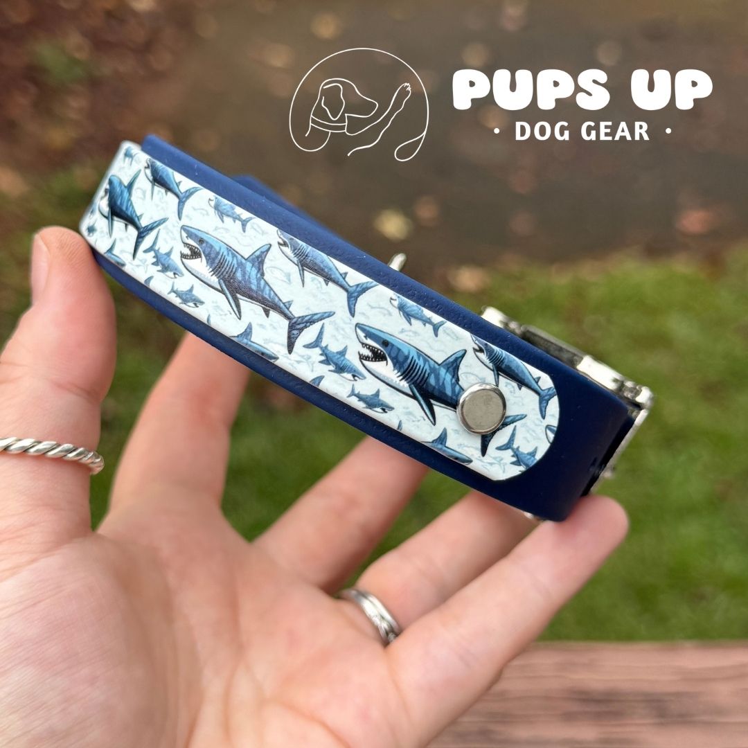1" w/ Overlay Shark Collar