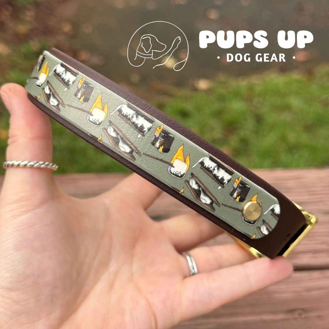 1" w/ Overlay Smores Collar