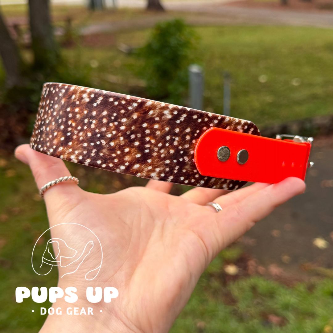 1.5" Tapered Fawn Collar