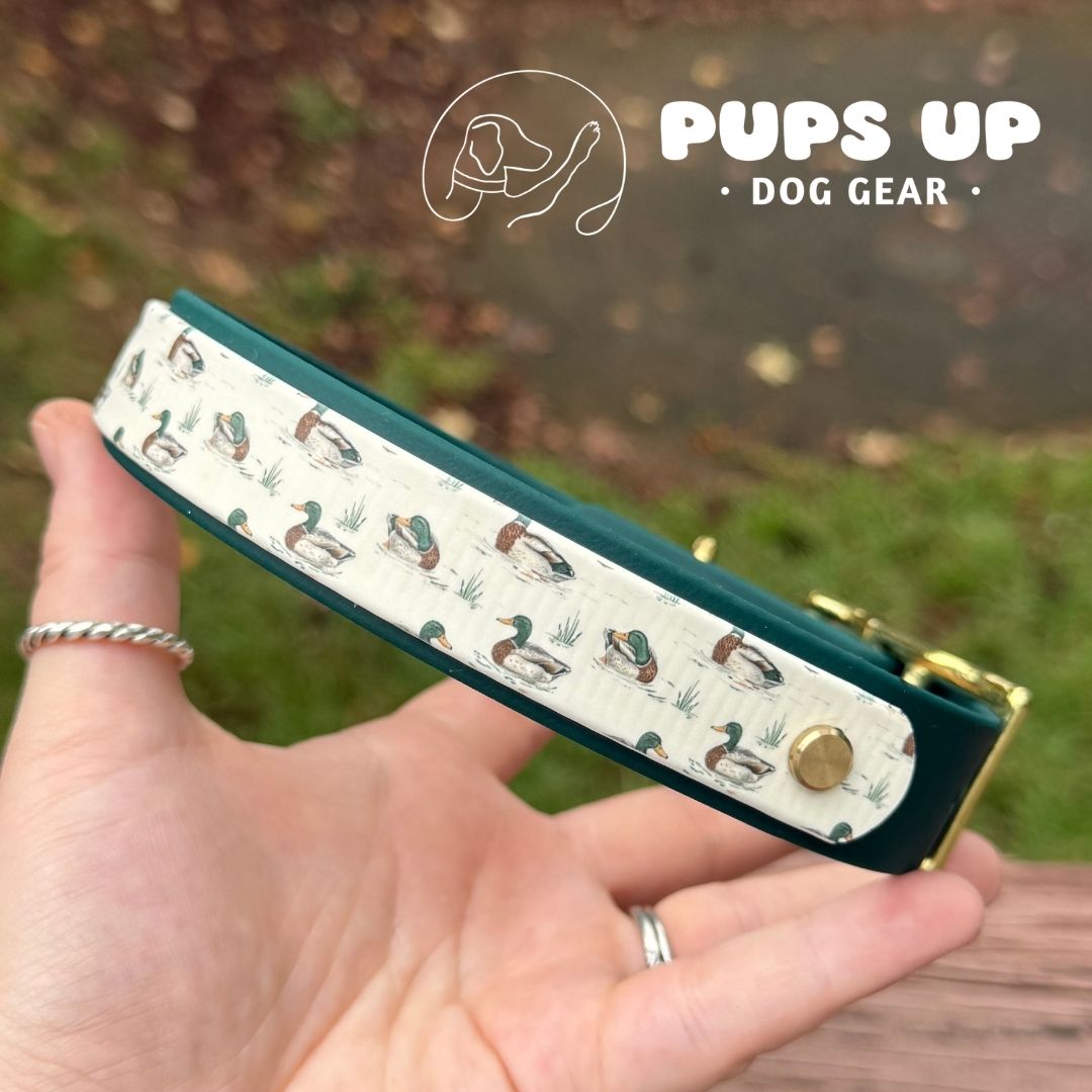 1" w/ Overlay Mallard Collar