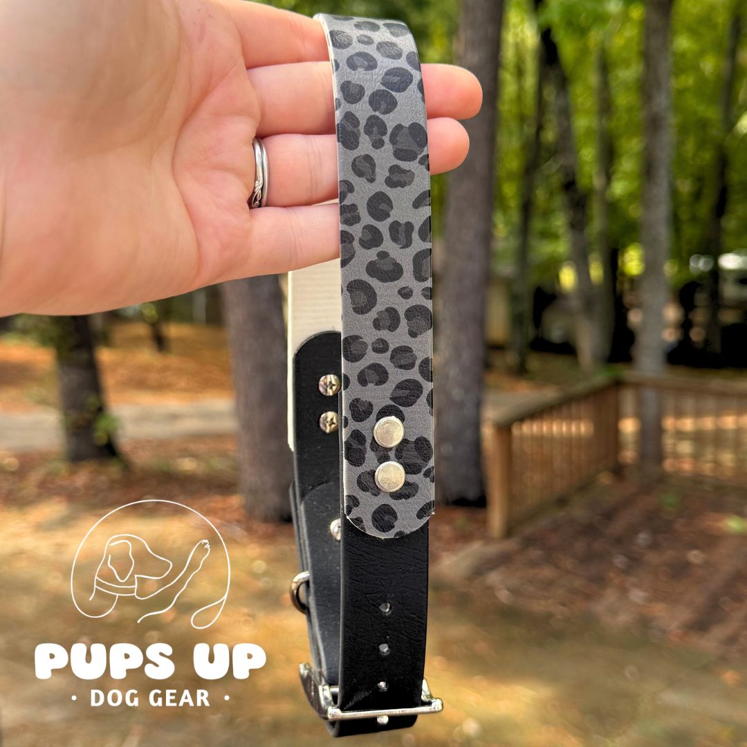 1" Black Leopard Solid Accent Collar