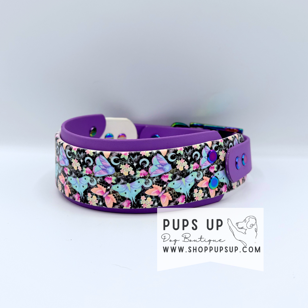 PREMADE 2” Neon Moths Collar