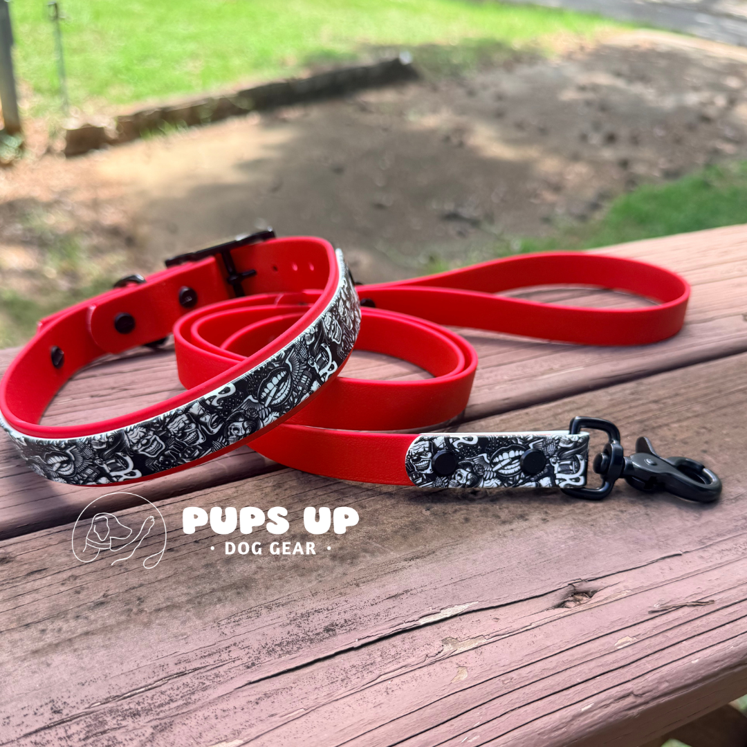 PREMADE Clown Collar & Leash Set