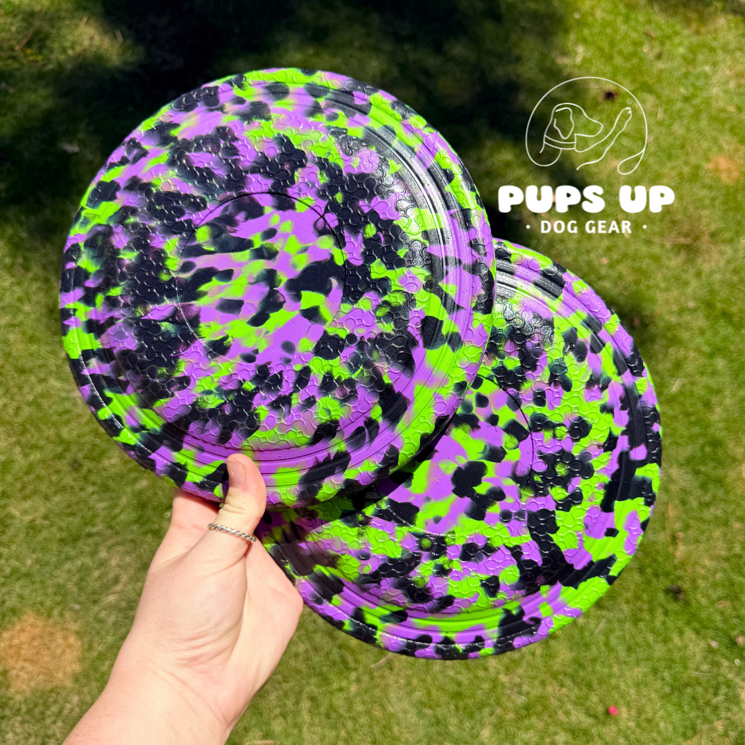 Wicked Frisbee
