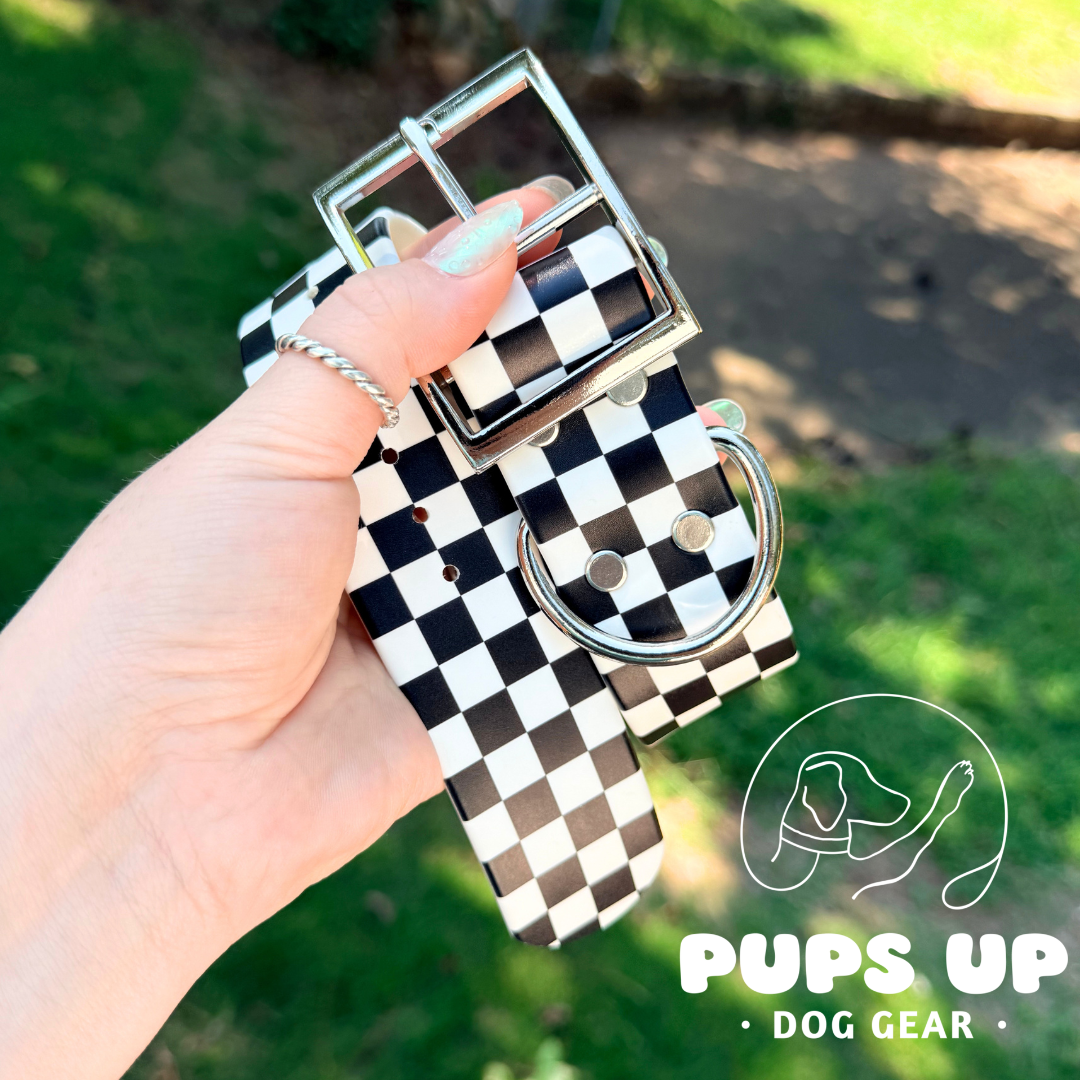 PREMADE 1.5" Checker Flat Collar