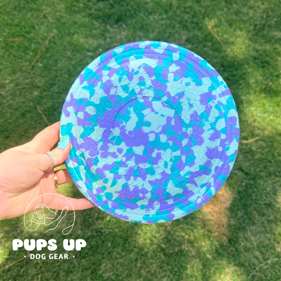 Pack Spirit Frisbee