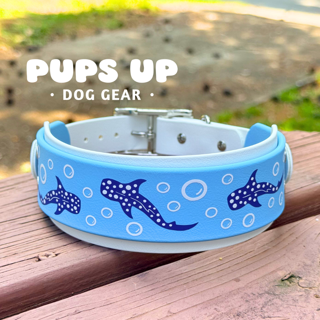 PREMADE 2” Whale Sharks Collar