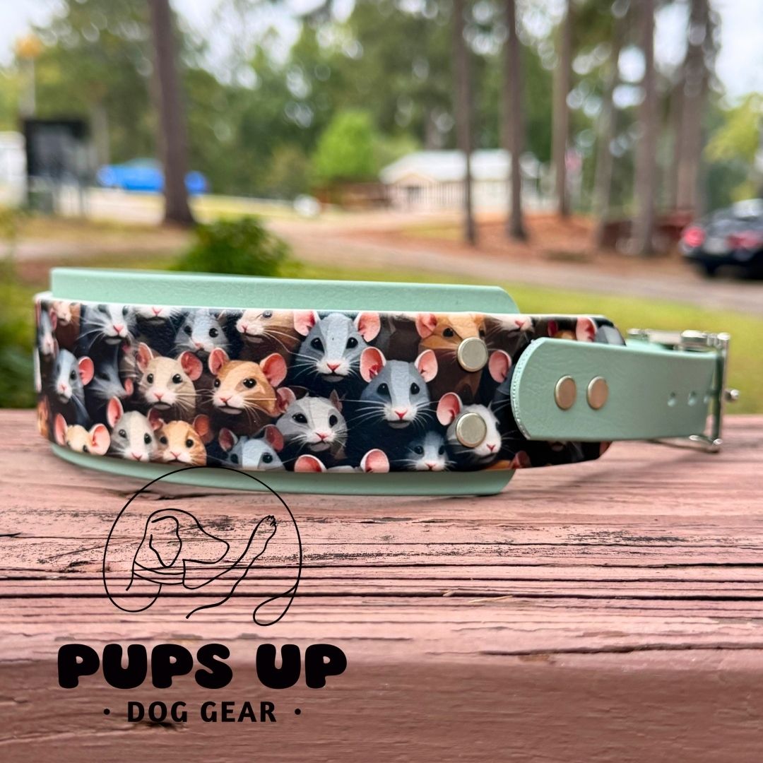 2" Rats Collar