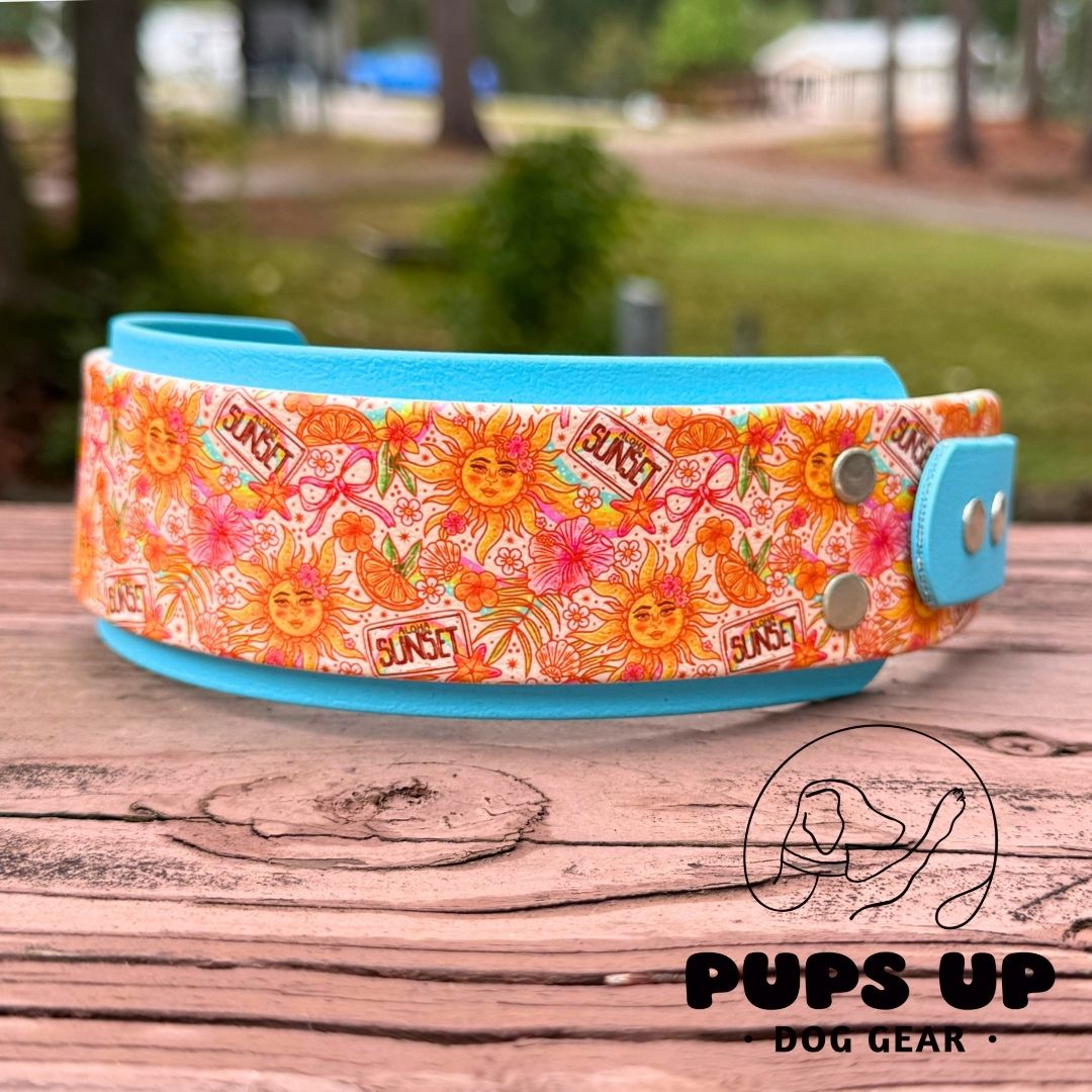 2" Aloha Sun Collar