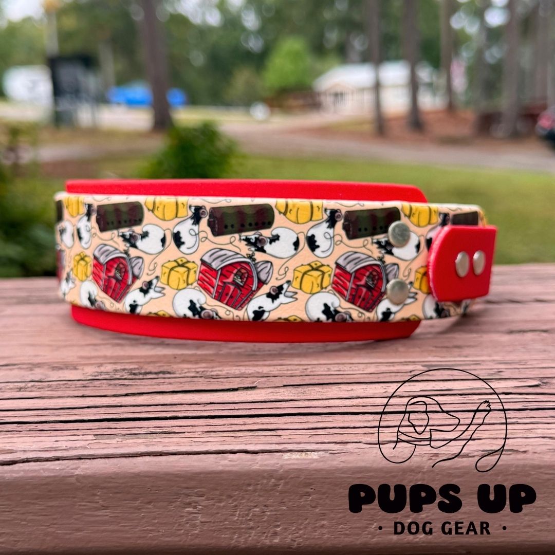 2" Barn Hunt Collar