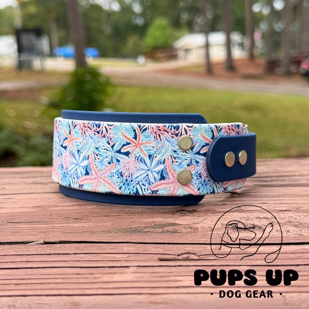 2" Starfish Collar