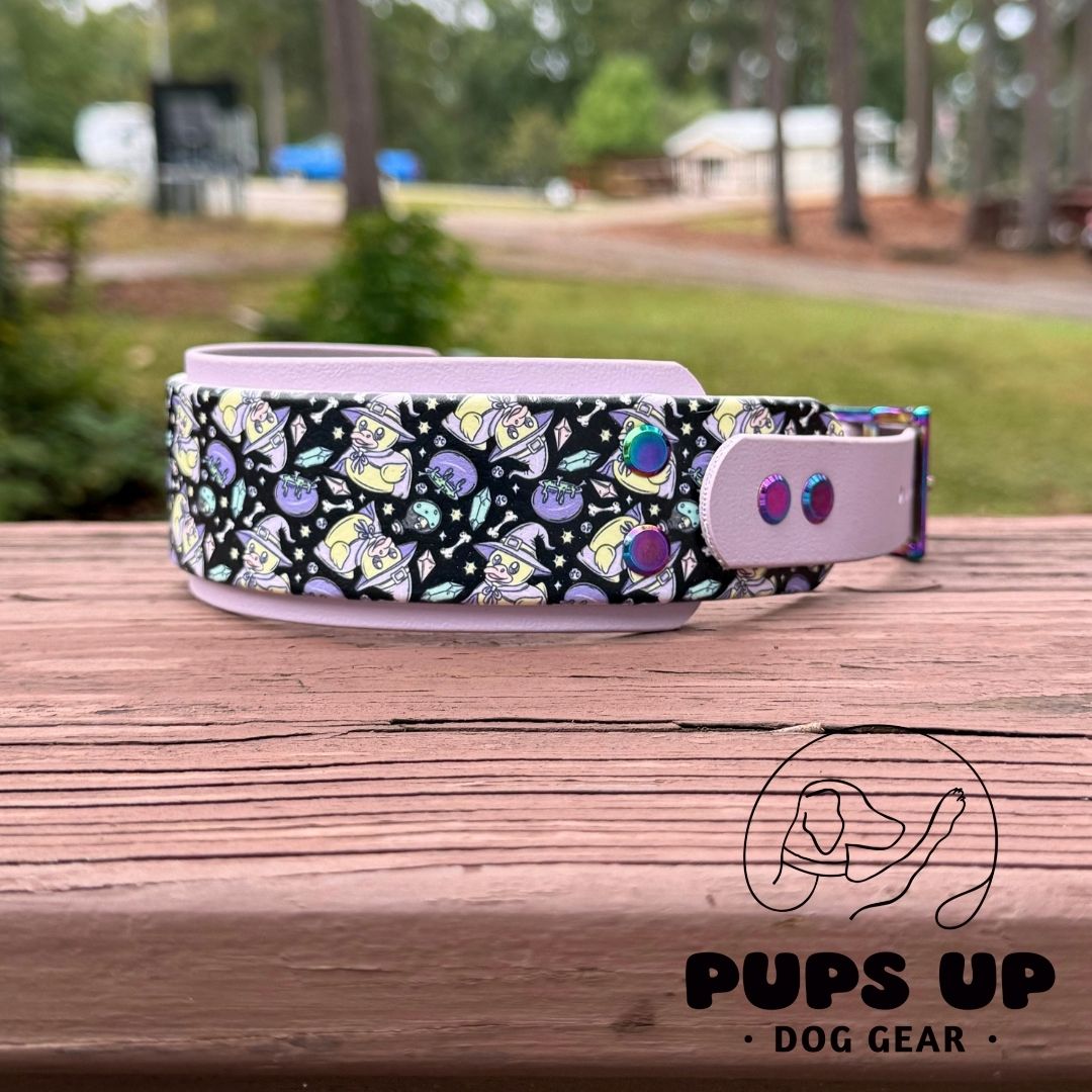 2" Spooky Ducks Collar