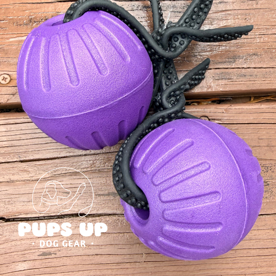 Purple EVA Ball
