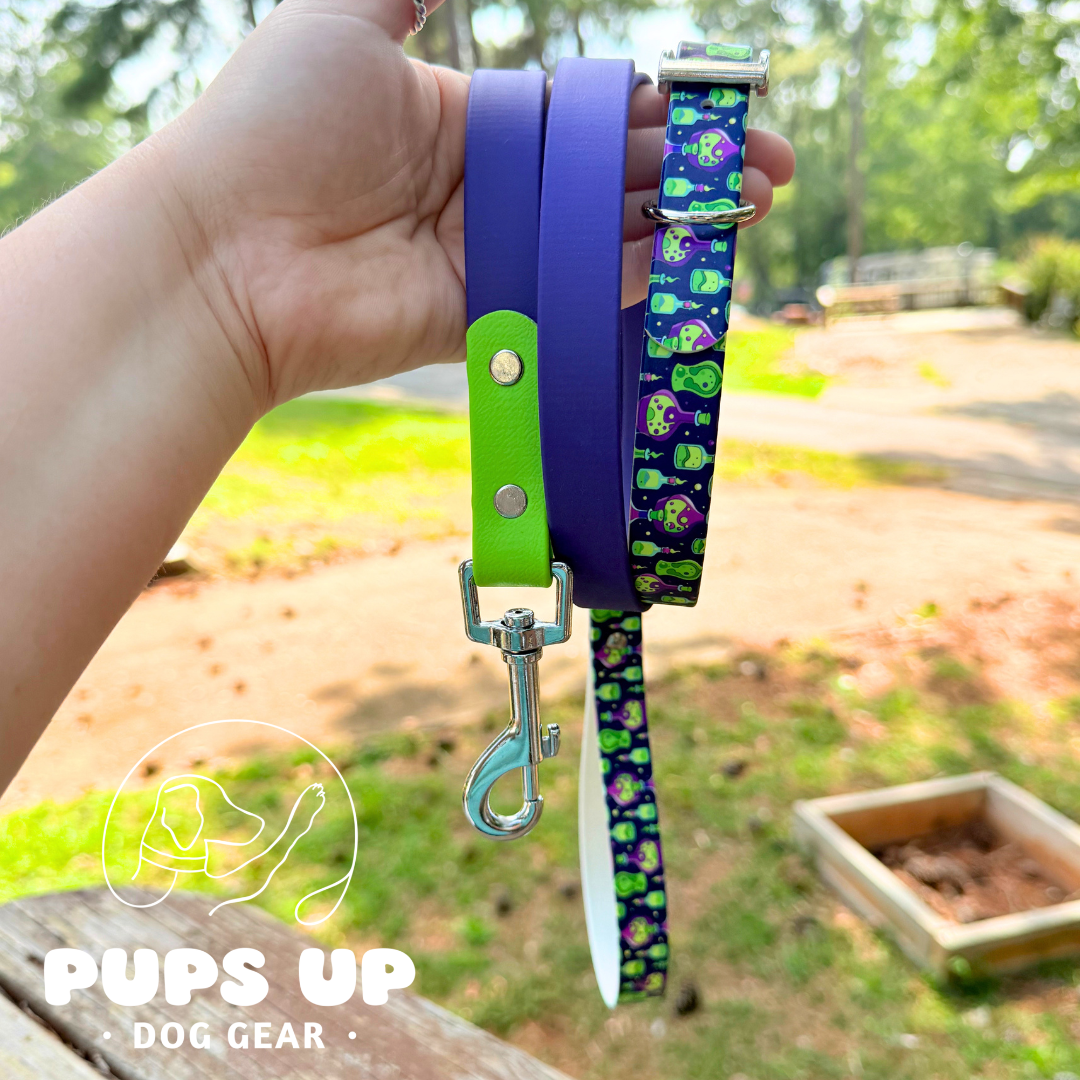 PREMADE Potions Collar & Leash SET