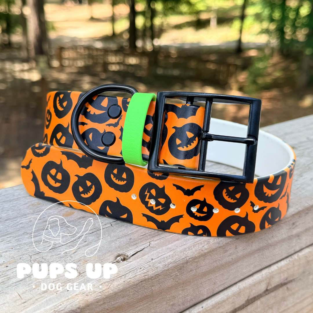 PREMADE 1.5" Batty Pumpkins UV Collar