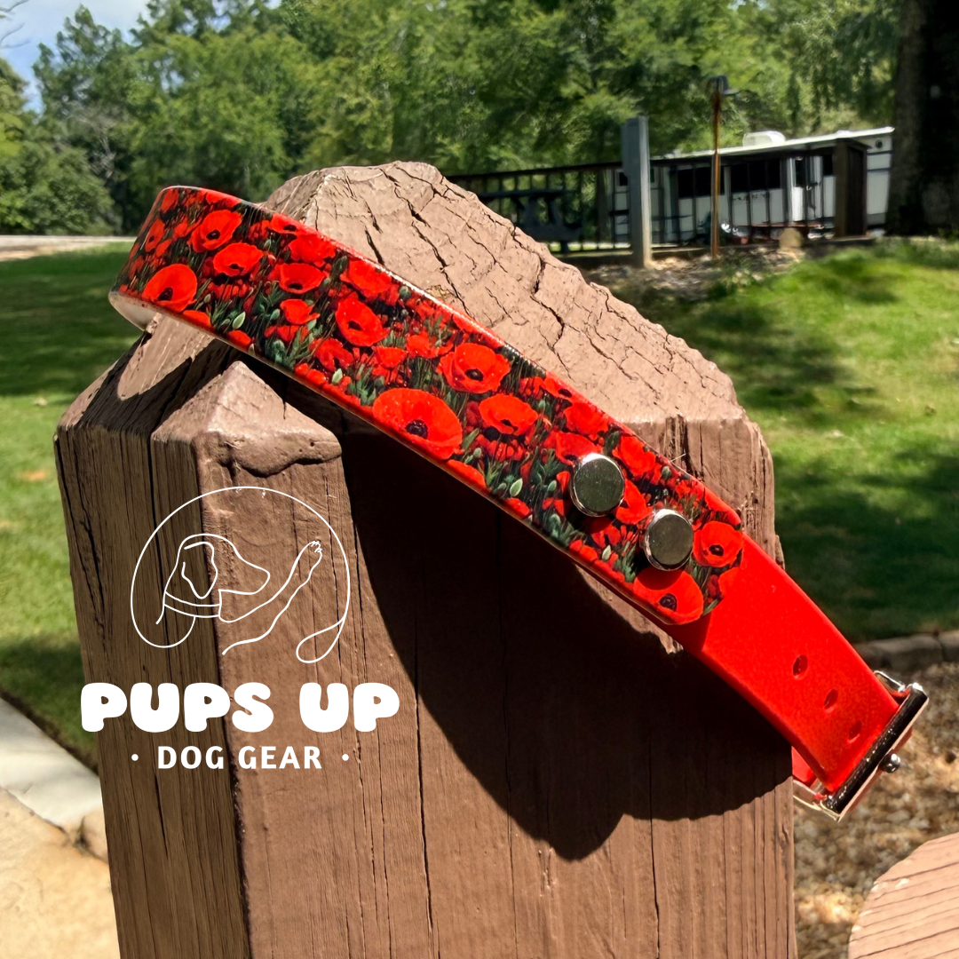 PREMADE Red Poppy Collar