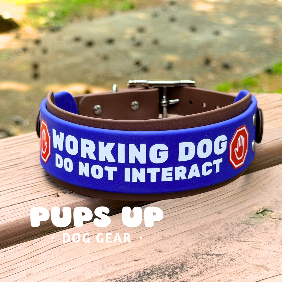PREMADE 2” Working Dog Collar