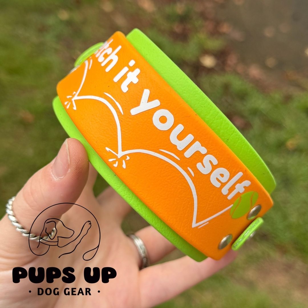 2" Fetch It Yourself Collar