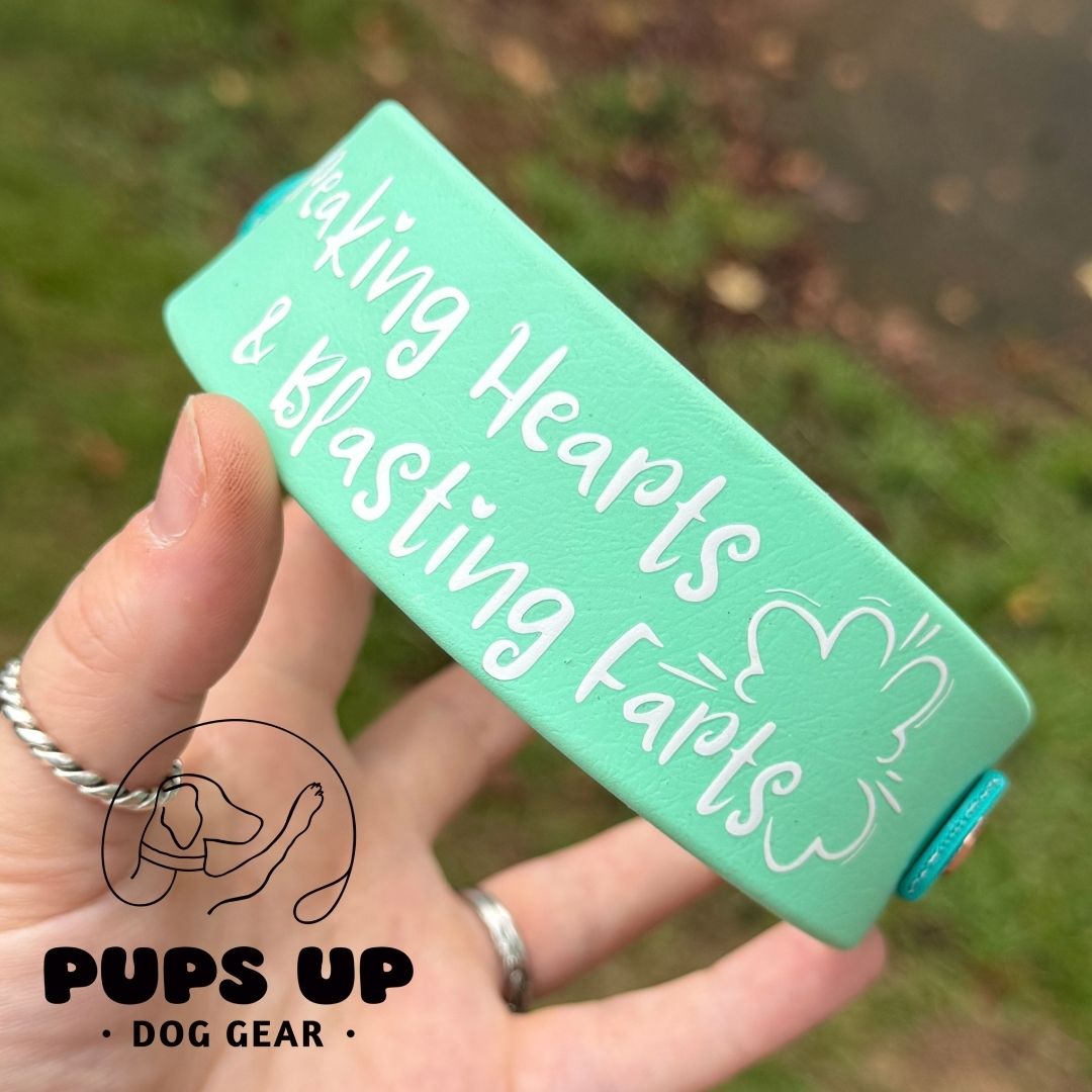 1.5" Breaking Hearts & Blasting Farts Collar