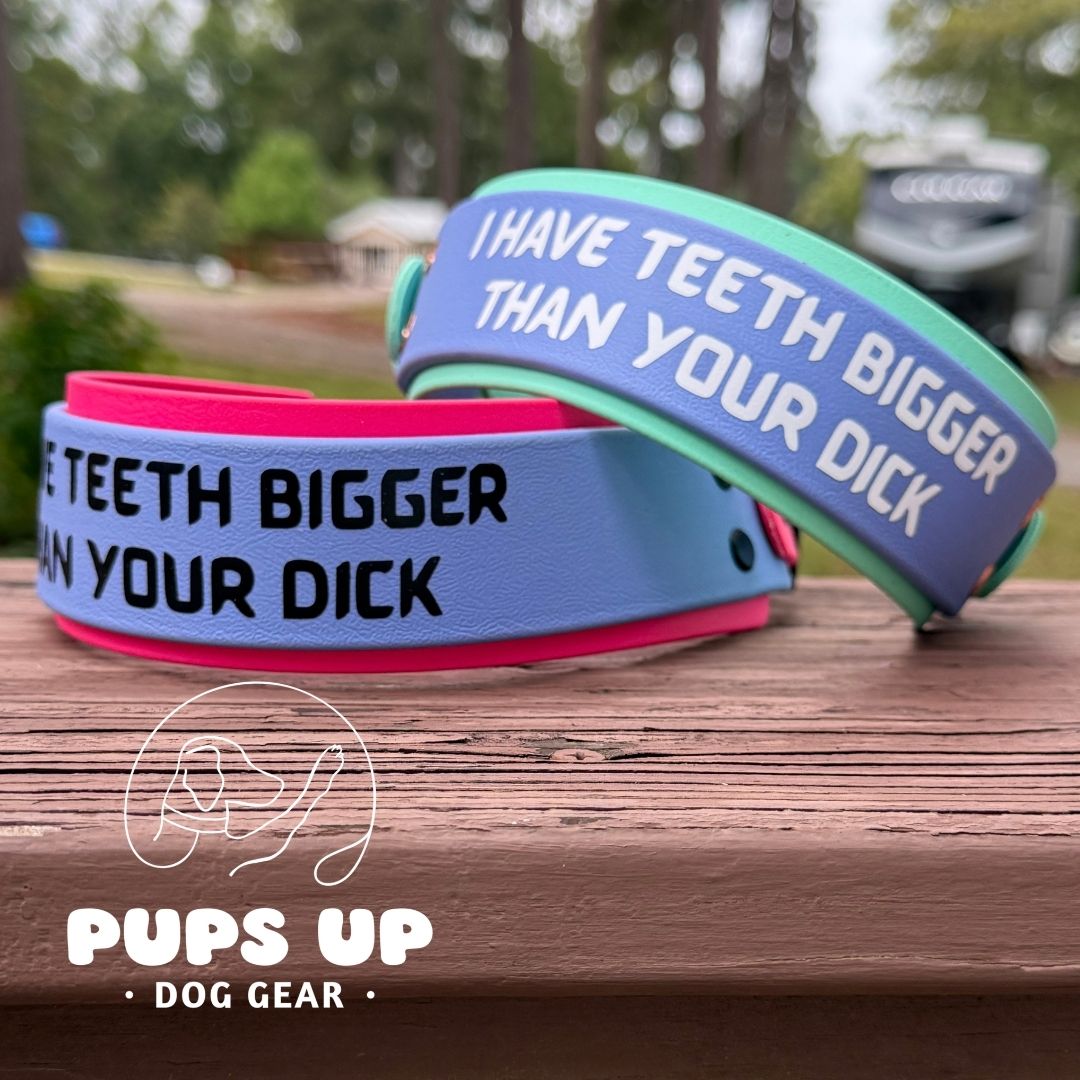 2" My Teeth Are Bigger Than Your Dick Collar
