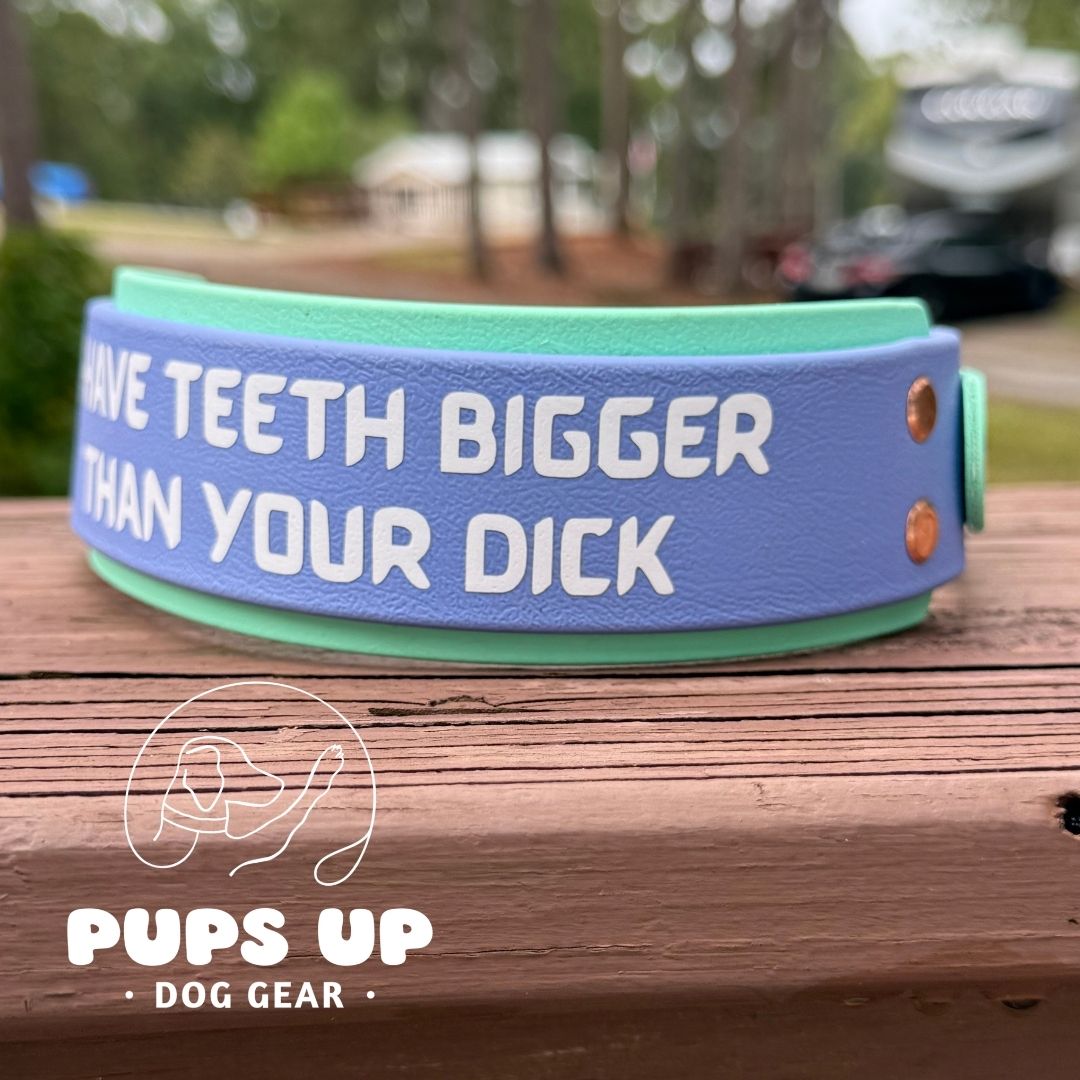 2" My Teeth Are Bigger Than Your Dick Collar