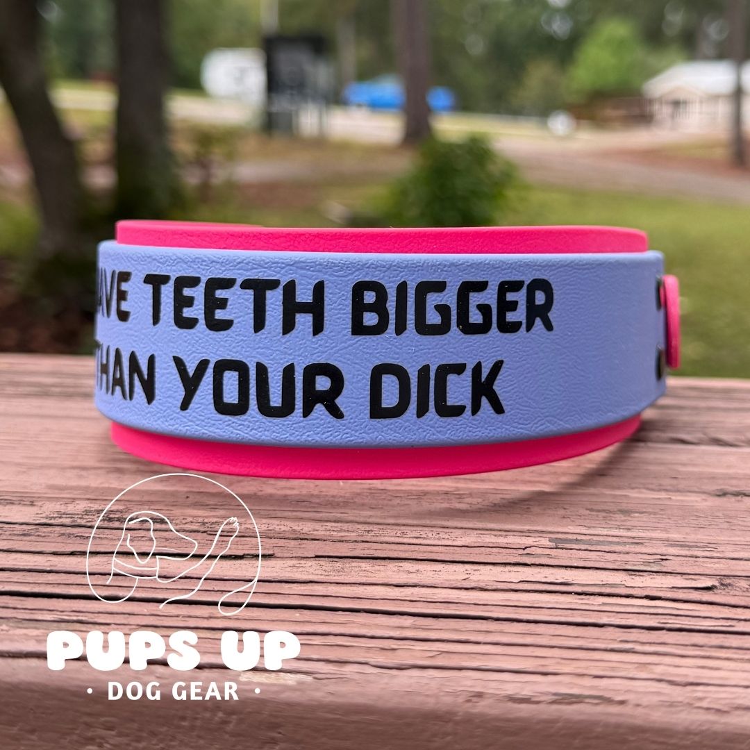 2" My Teeth Are Bigger Than Your Dick Collar