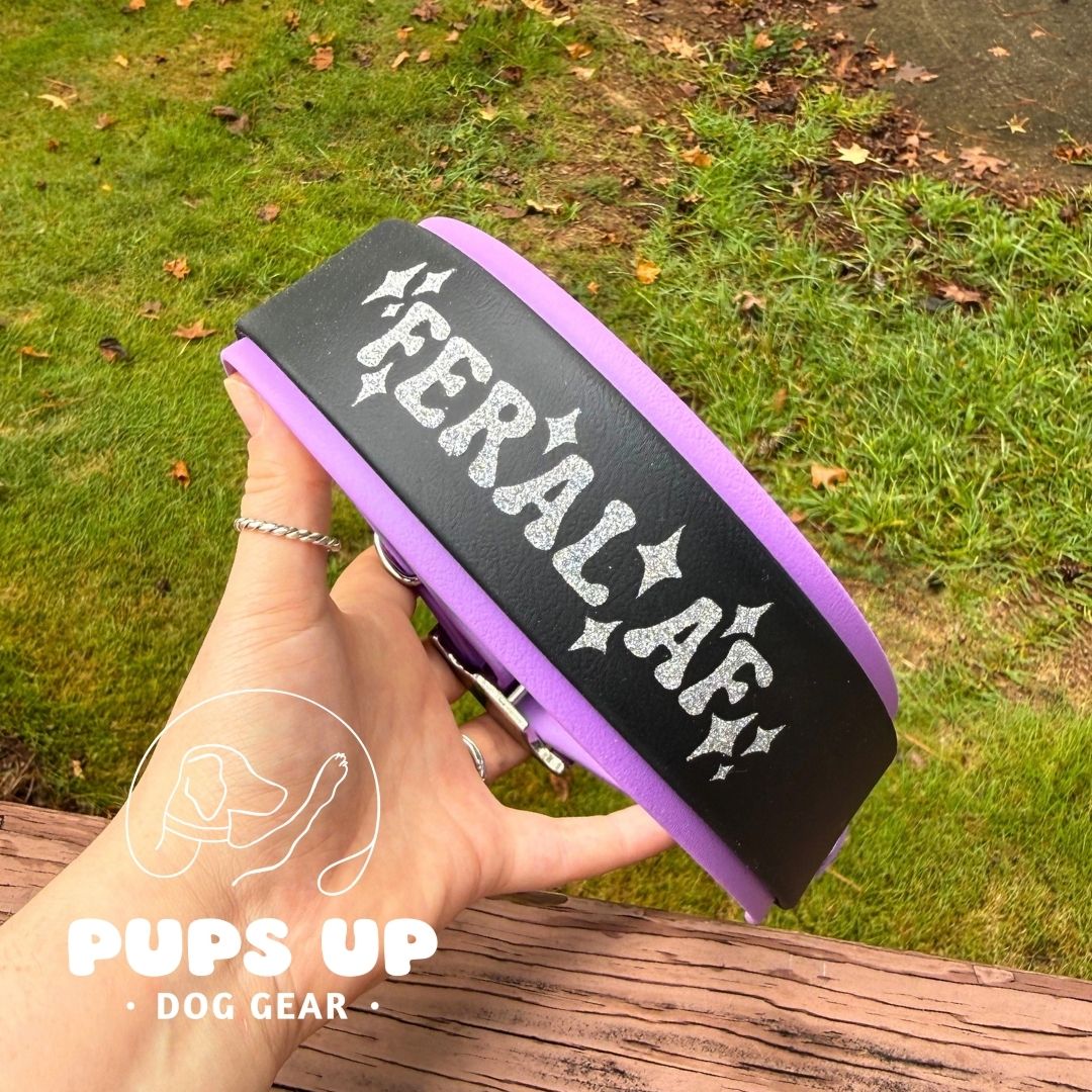 2" Feral AF Collar