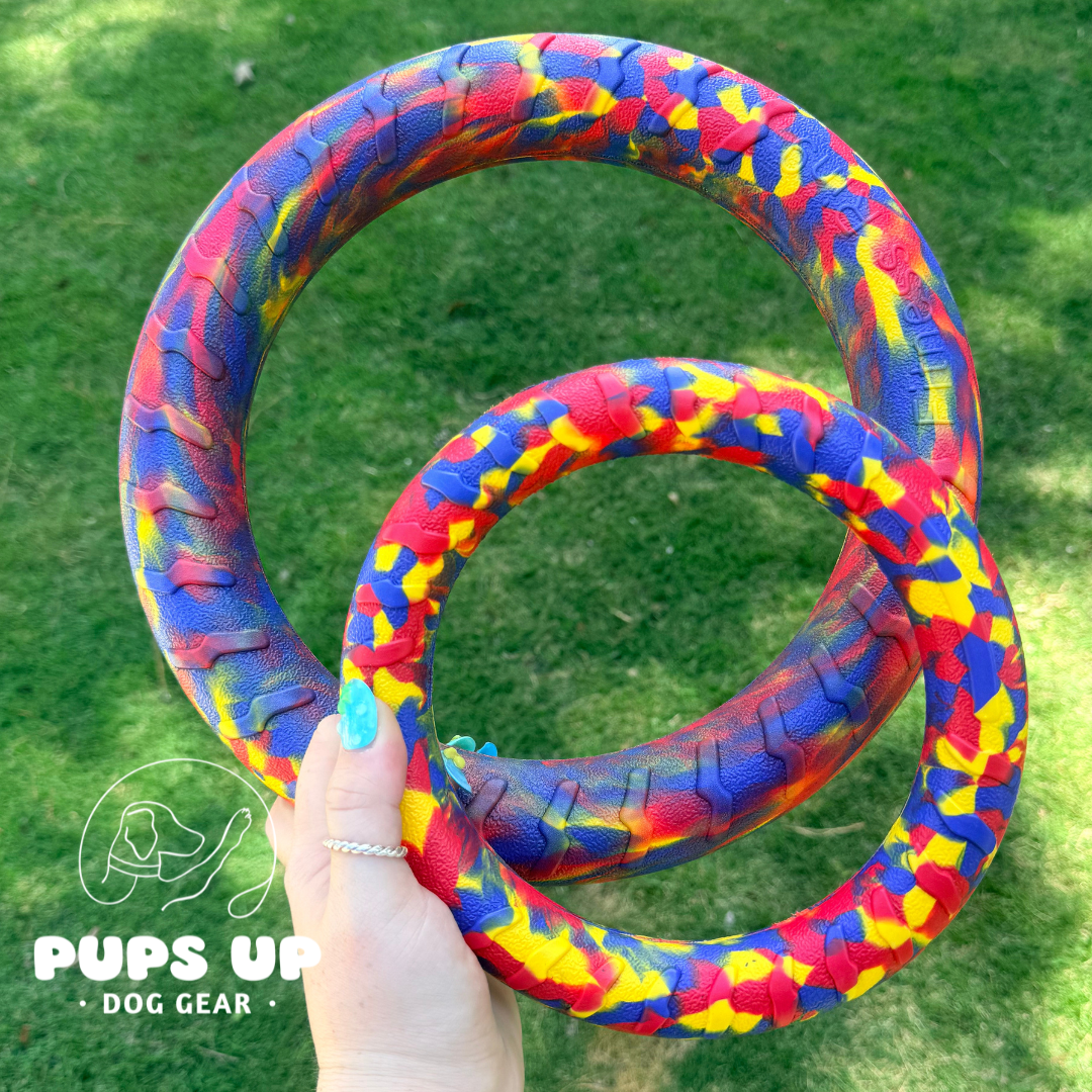 Primary Playground Ring