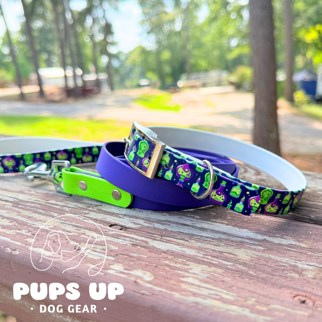 PREMADE Potions Collar & Leash SET