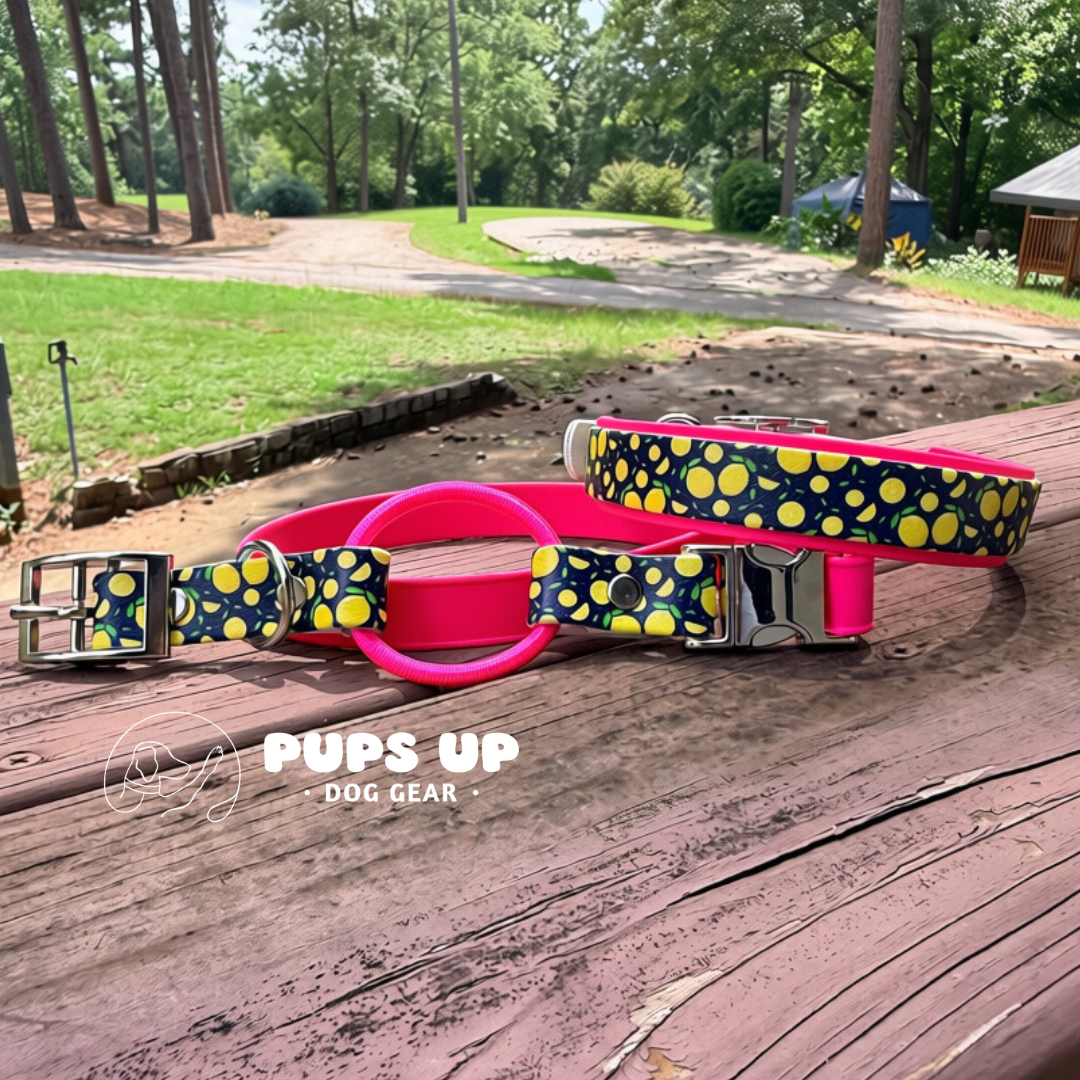 PREMADE Lemons Collar