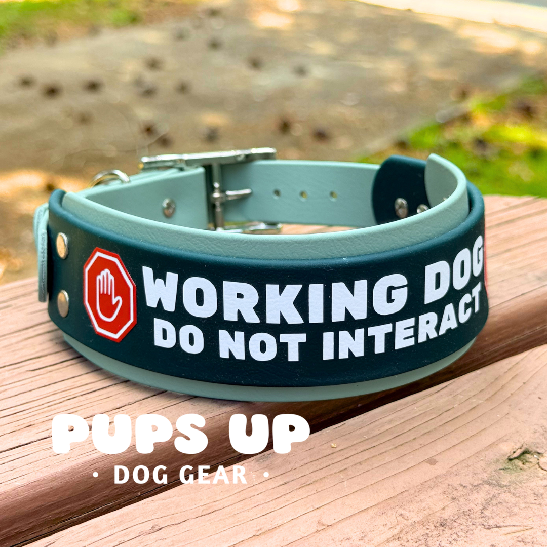 PREMADE 2” Working Dog Collar