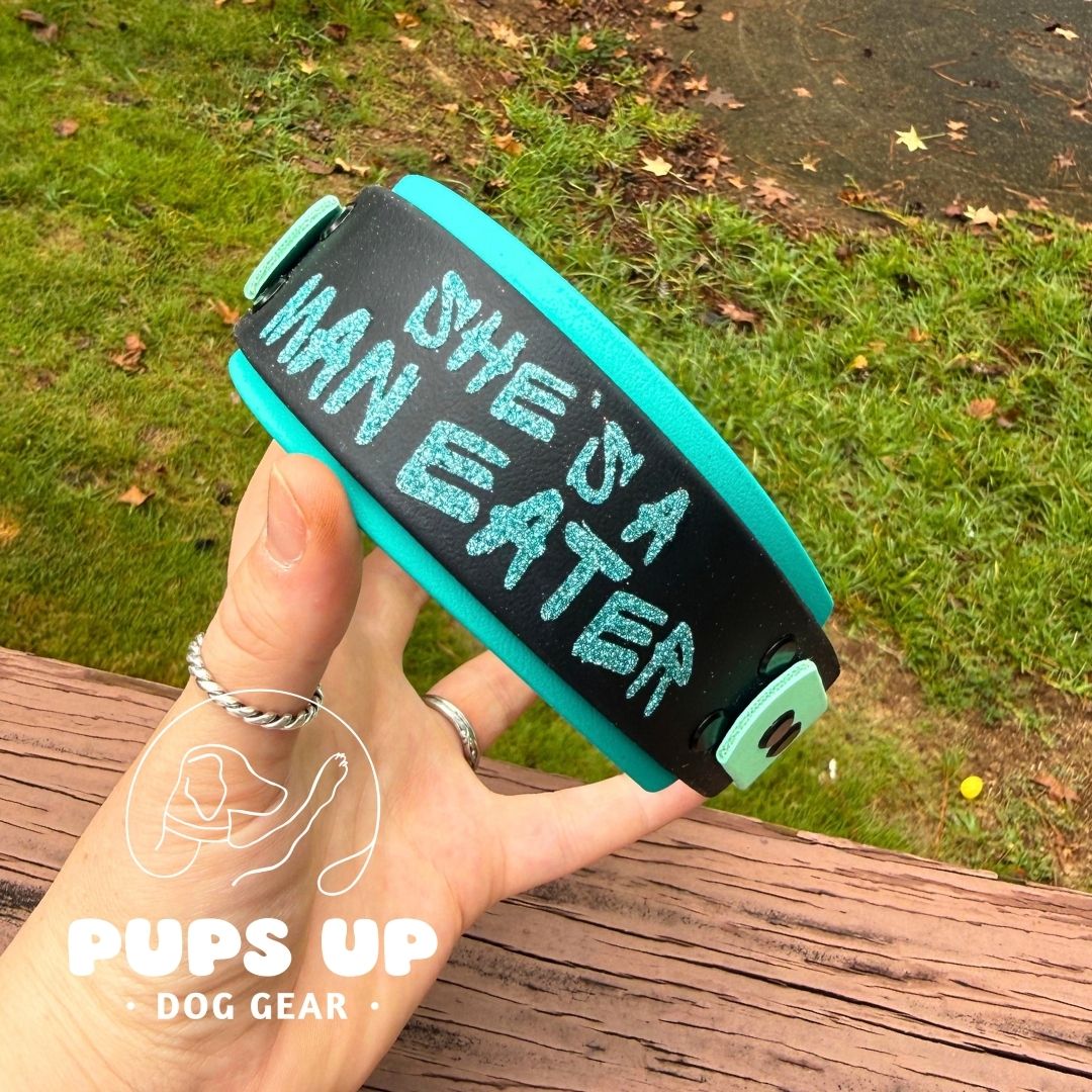 2" She's A Man Eater Collar