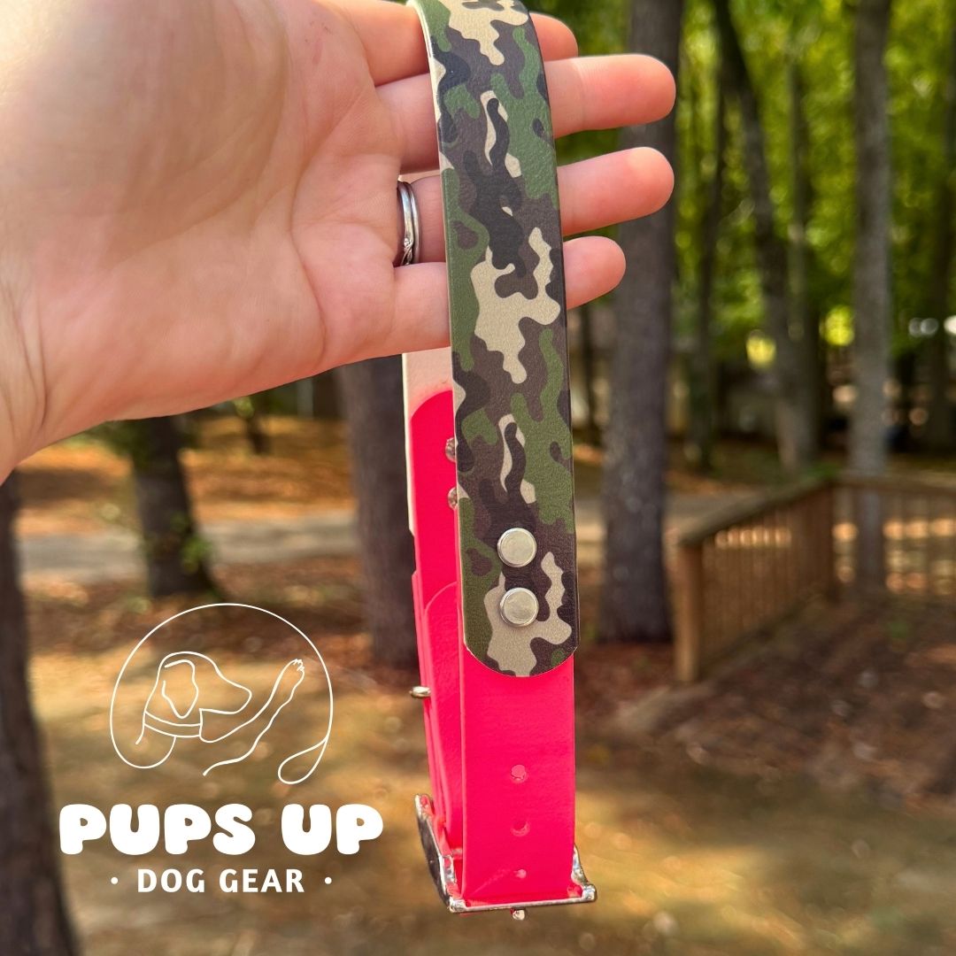 1" Camo Solid Accent Collar
