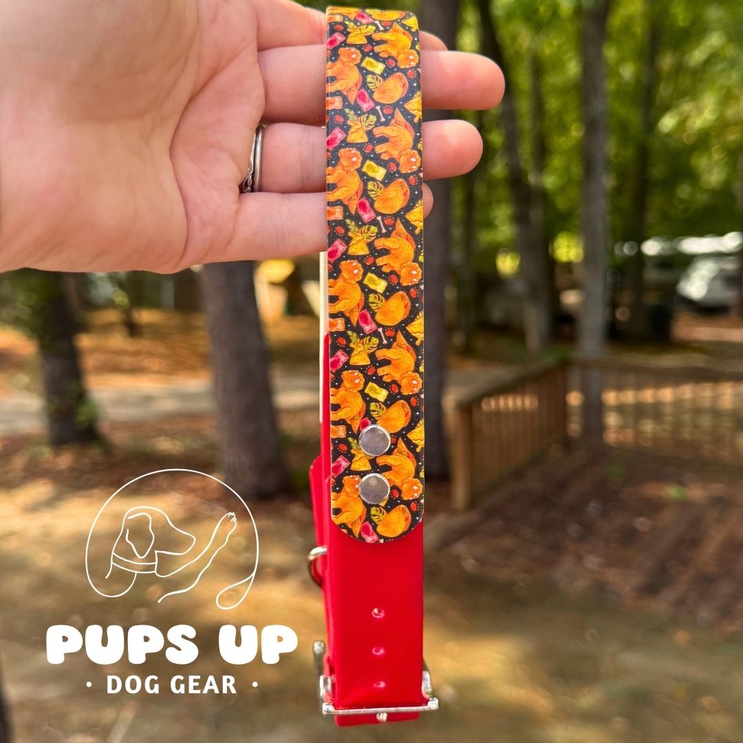 1" Taco Dinos Solid Accent Collar