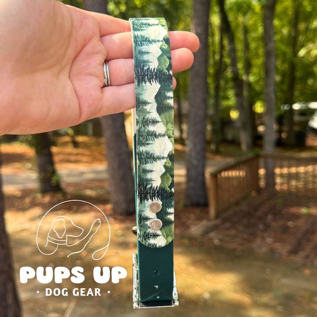 1" Alpine Forest Solid Accent Collar