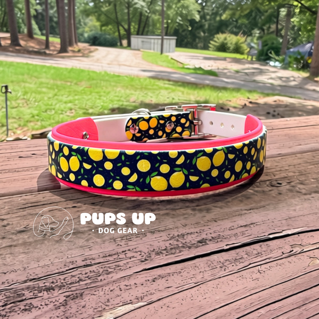 PREMADE Lemons Collar