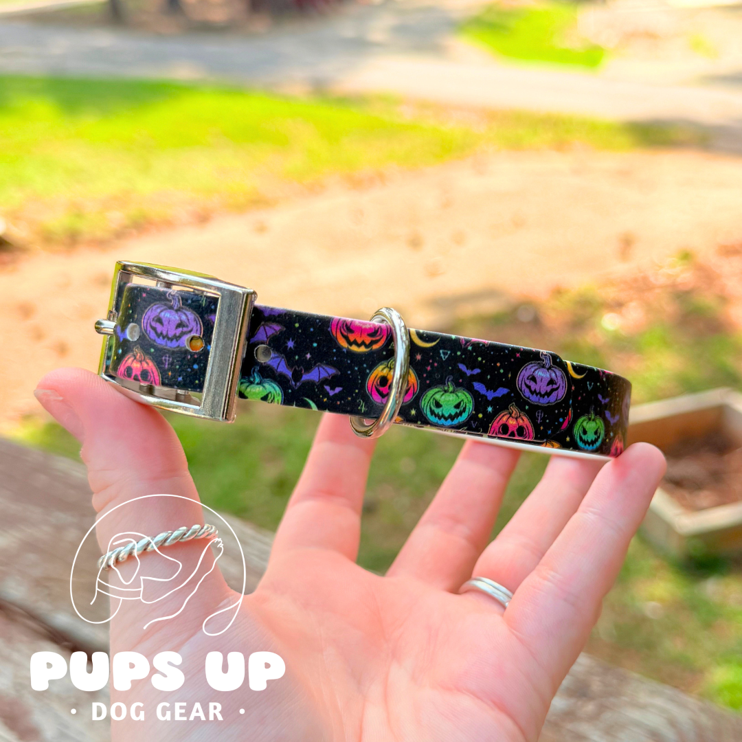 PREMADE 3/4" Neon Jack N Bats Collar